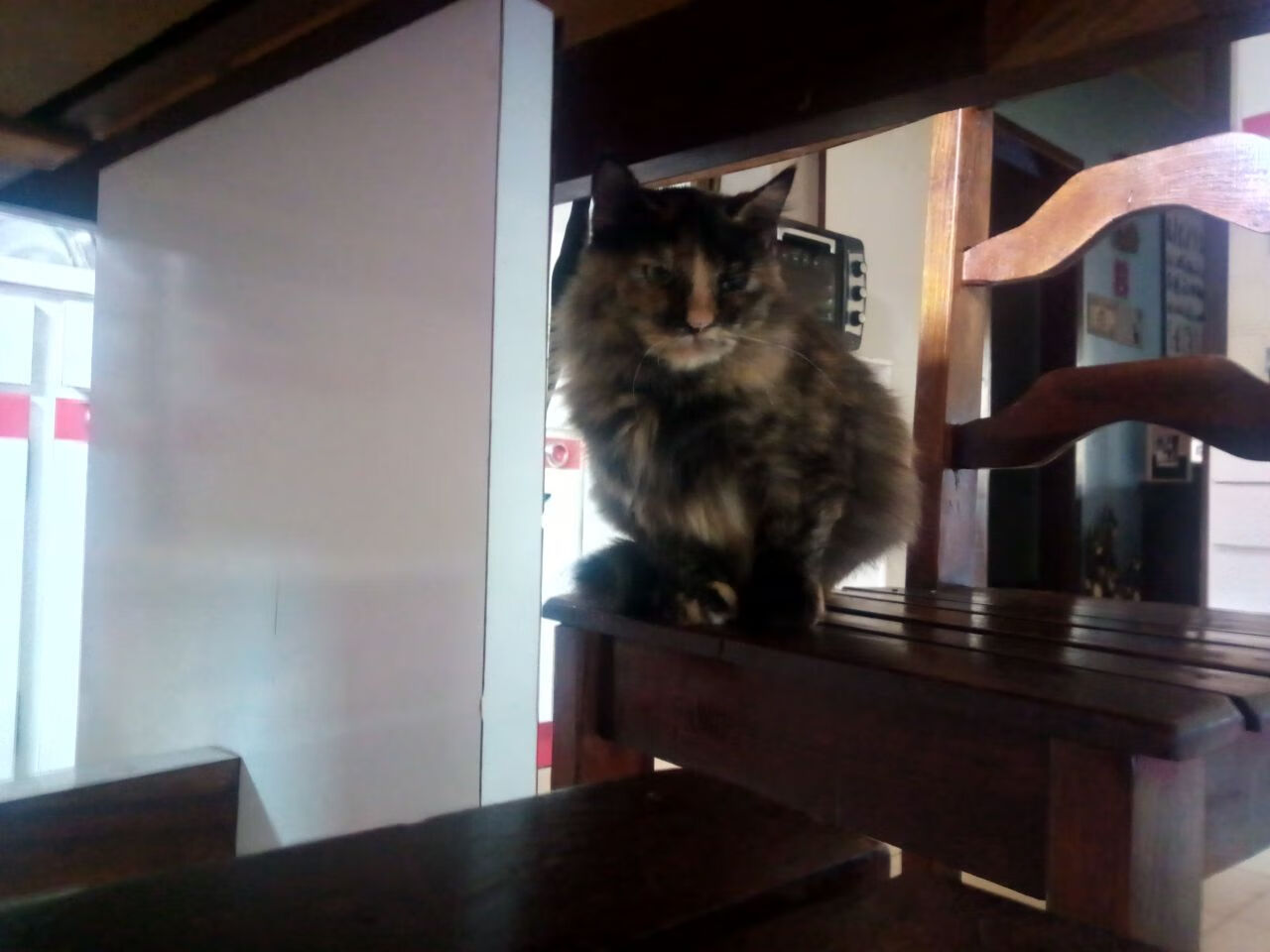 开云体育中国官方网站-_新赛季新期待：各大赛事布局全景揭秘_，赛事2021