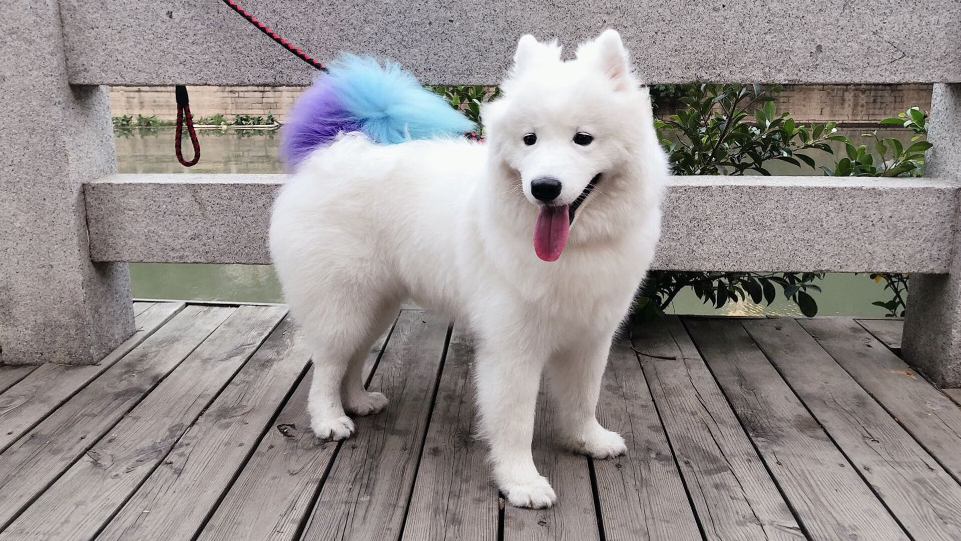 开云esport-“中国足球产业创新联盟成立,推动产业升级”,中国足球产业发展现状